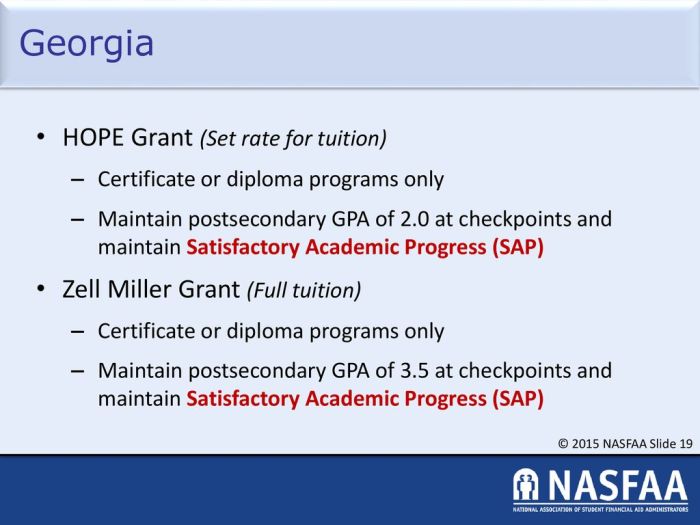 Ga student access loan