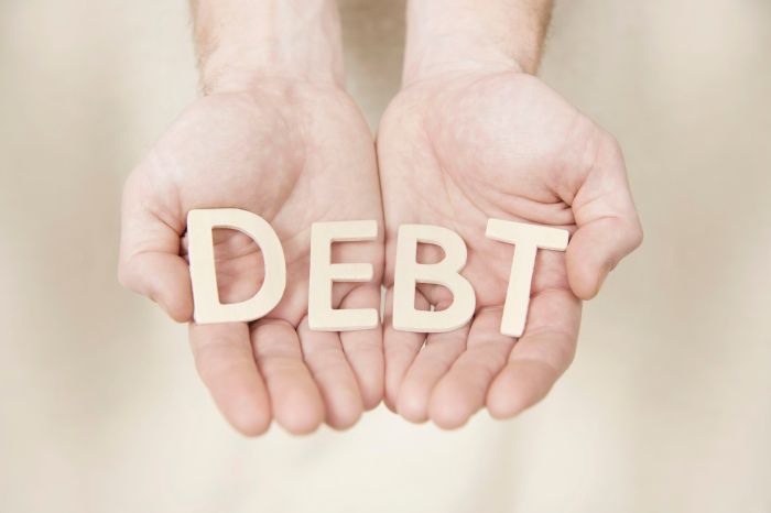 Debt statista soars loans myths debunking inflation Debt statista soars loans myths debunking inflation
