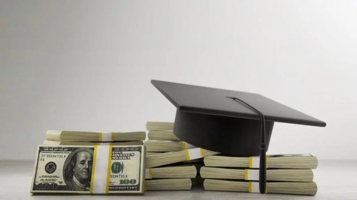 Loans difference Loans difference