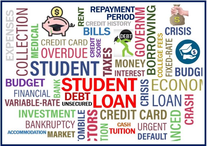Loans managing