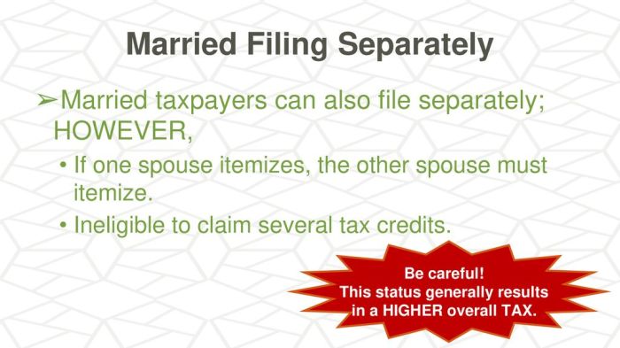 Filing separately for student loans