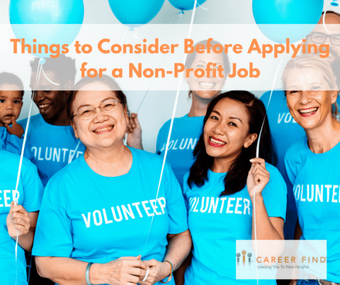 Working for a non profit student loans