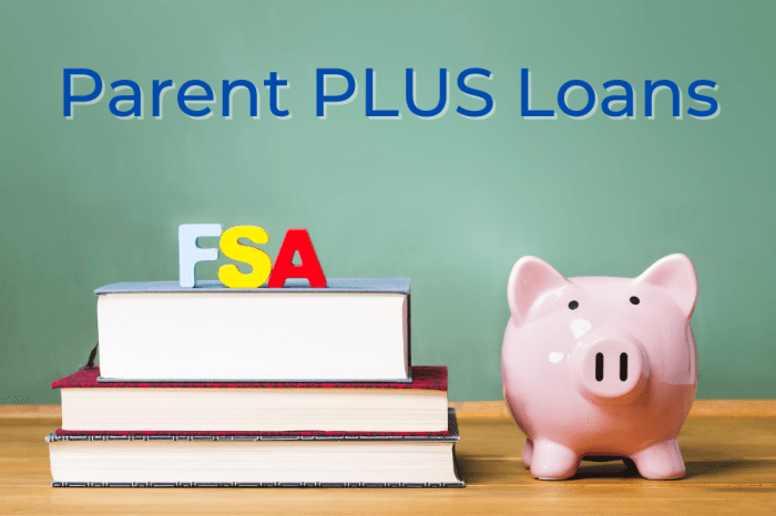 Parent plus loan independent student