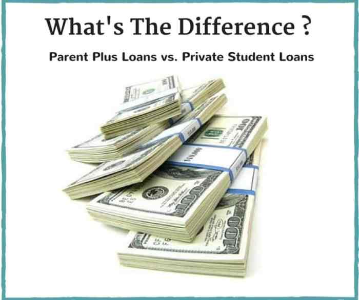 Loans Loans