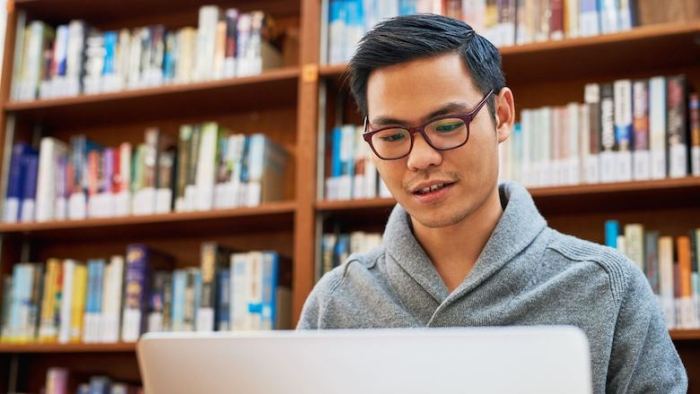 Federal loans student types loan students aid info undergraduate