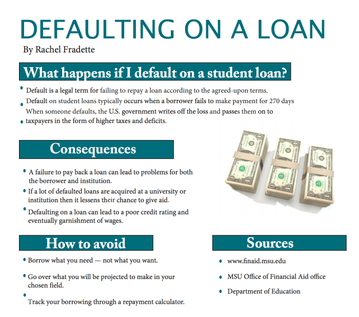Loan student default bankruptcy defaults million answer year risk