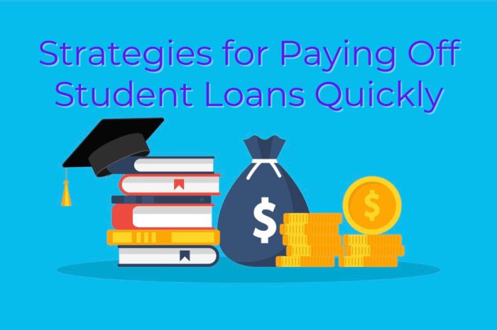 Loans Loans