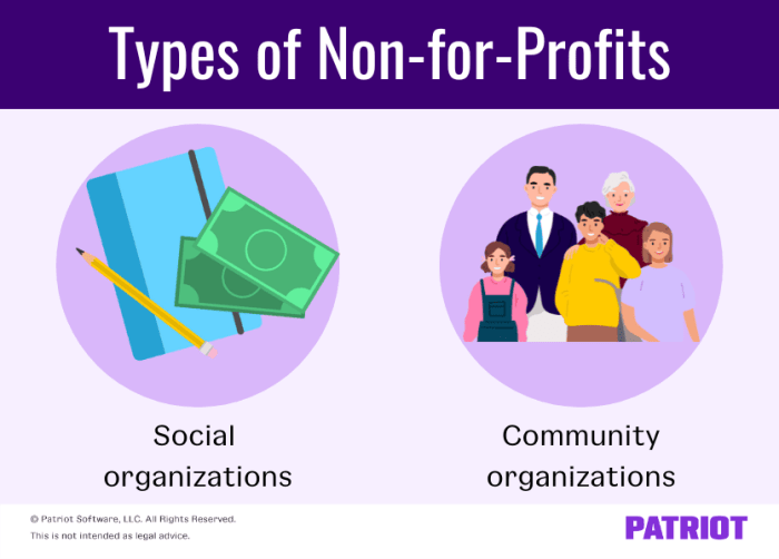 Student loans non profit organizations
