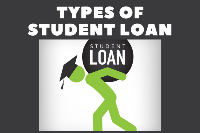 What are the 4 types of student loans