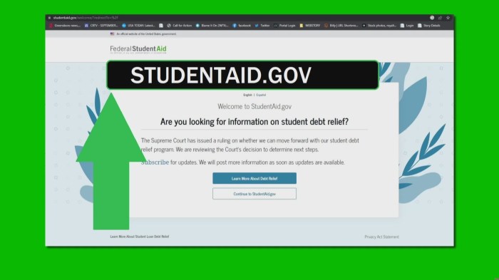 Studentaid loan simulator