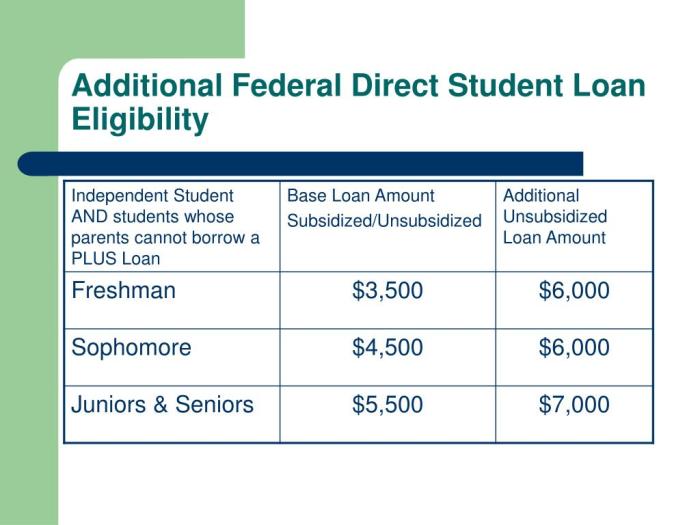 Federal direct student loan application