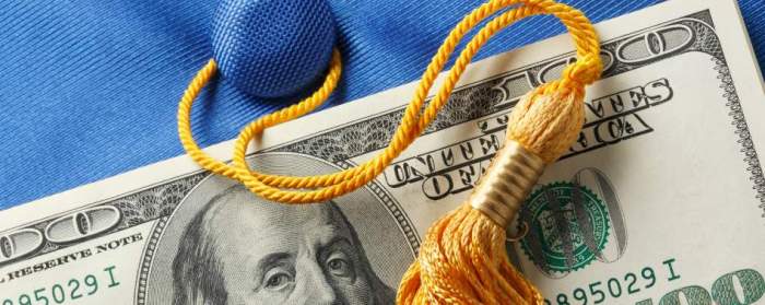 National direct student loan