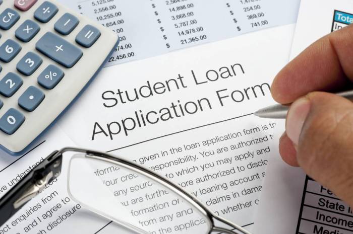 Loans federal