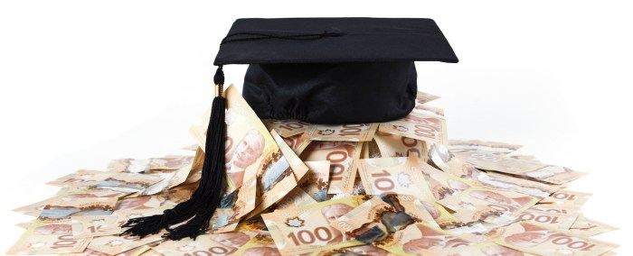 Loans