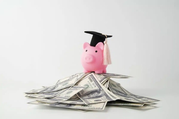 Loans Loans