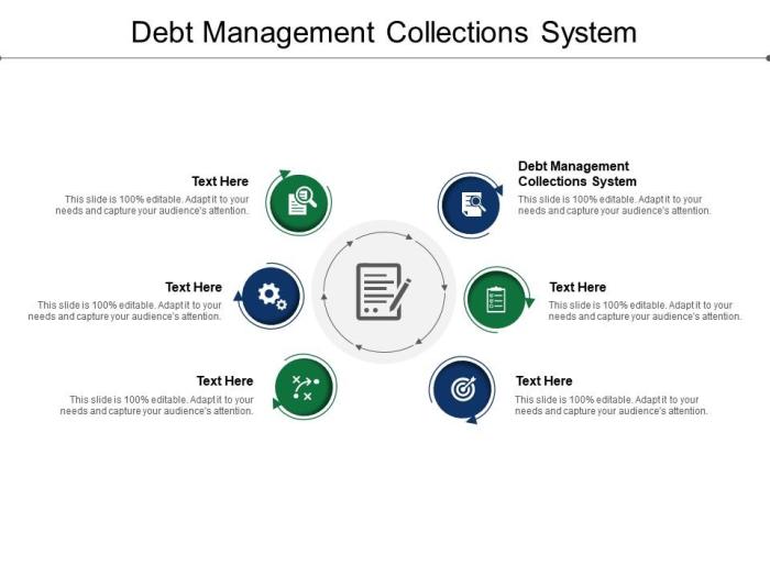 Debt solutions loan student managing