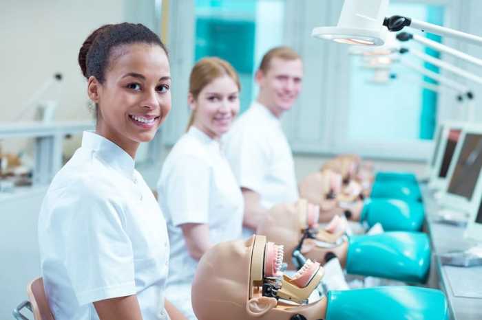 Dental student loans