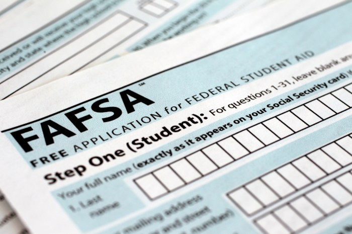 Federa student loans