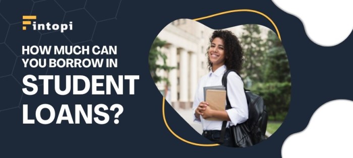 Undergraduate student loan limits