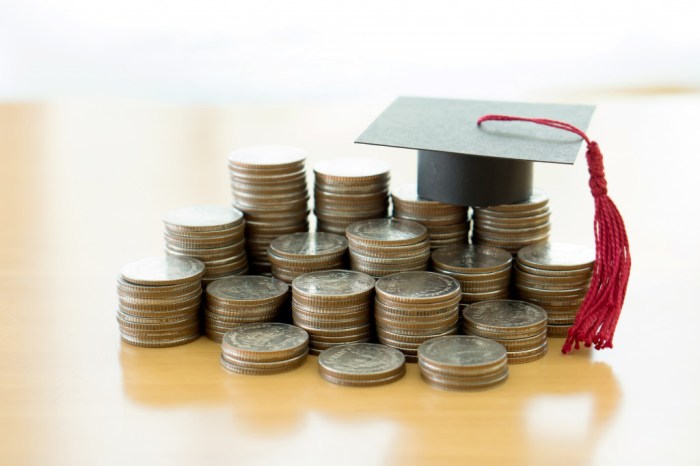 Can my llc pay my student loans