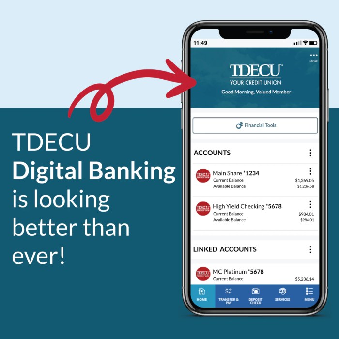 Tdecu student loans