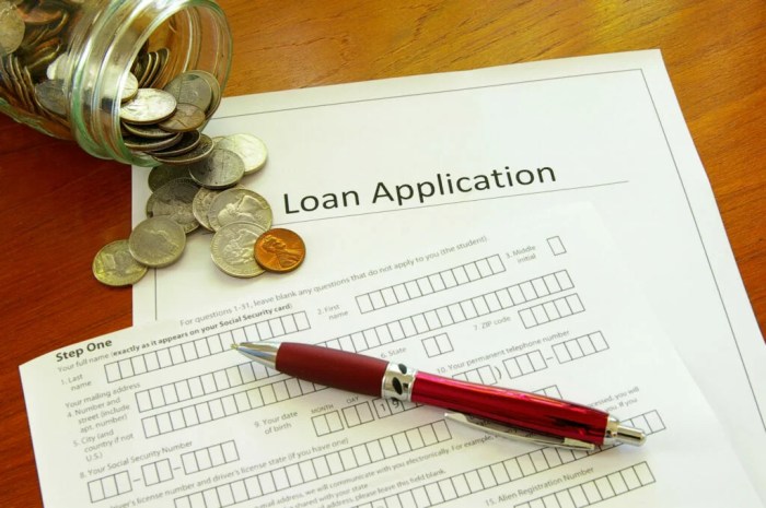 Debt student loan