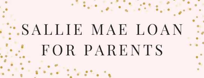 Mae sallie loans loan
