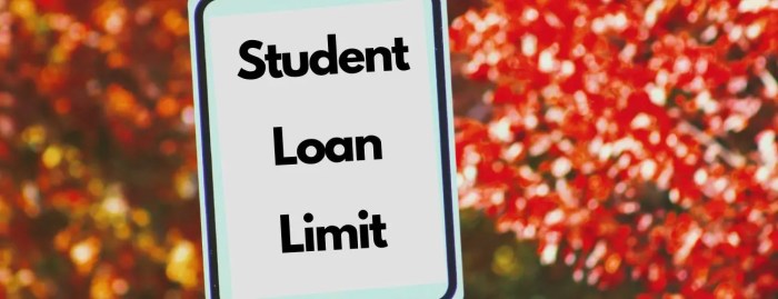 Lifetime student loan limits