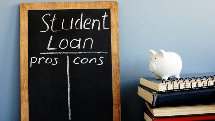 Loans