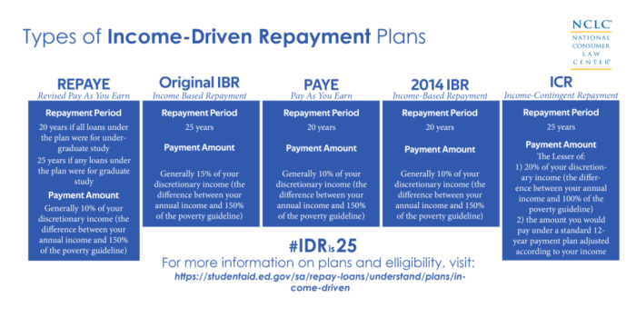 Ibr pslf loans student update