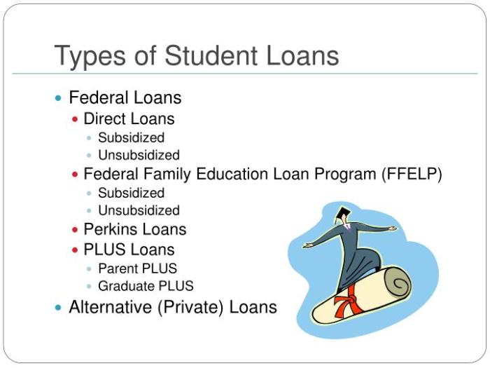 Loans Loans