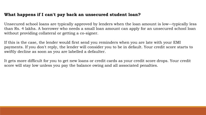 What happens if you dont pay back student loans