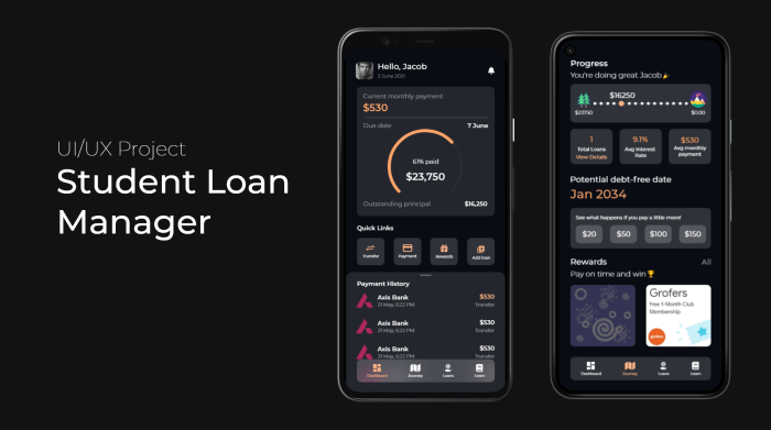 Student loan api