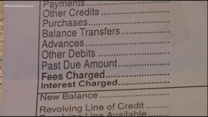 Student loan paused