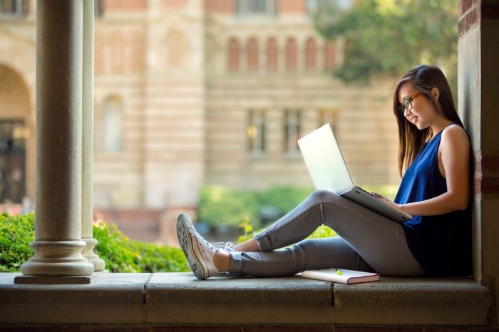 Loans loan undergraduate Loans loan undergraduate