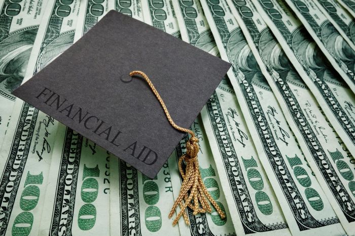 Student loans fed