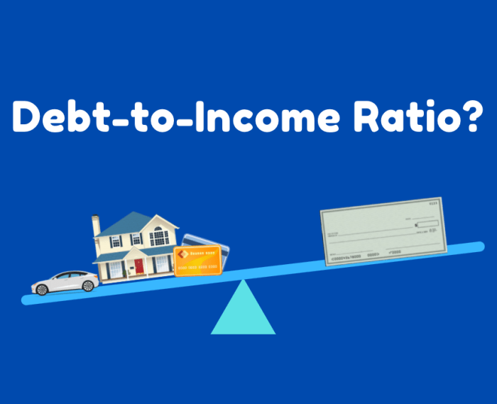 Student loan debt to income ratio