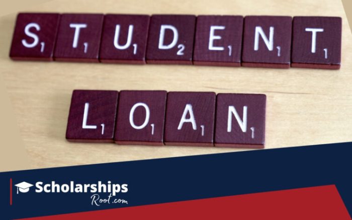 Loans federal Loans federal