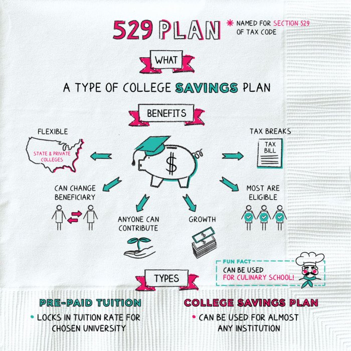 529 savvy