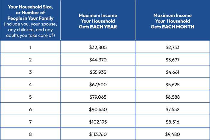 What is income based student loan repayment