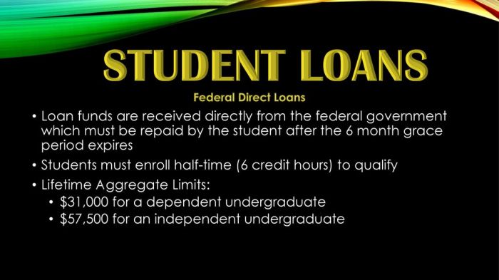 Student loan direct loan