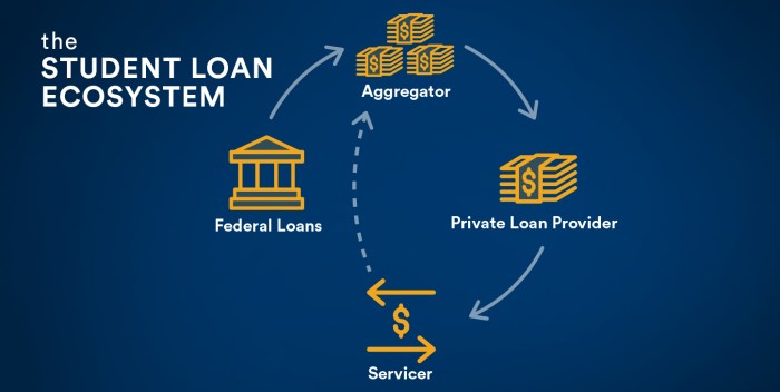 Federal loans student types loan students aid info undergraduate