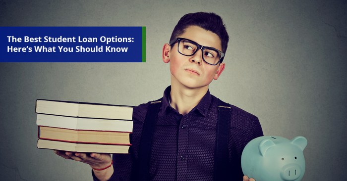 Undergraduate student loan options