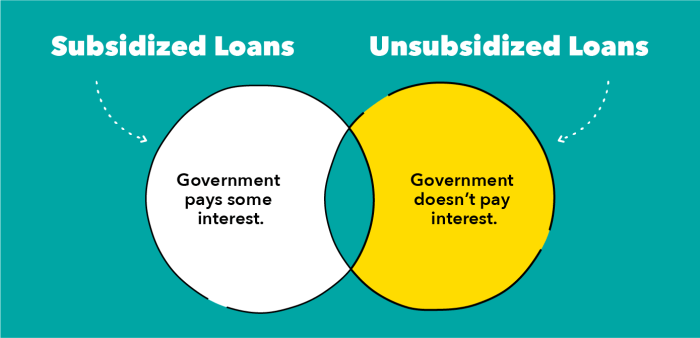 Subsidized unsubsidized loans differences venn