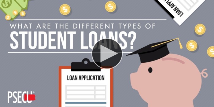 Student loans types