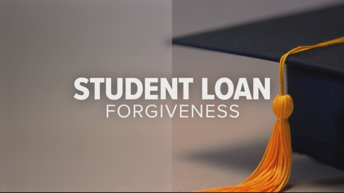 Student loan borrower assistance