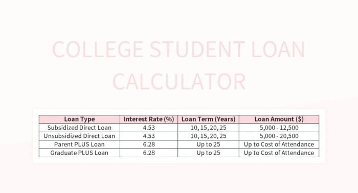 Student loan calulator