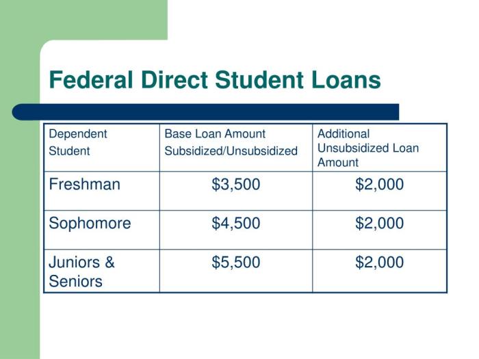 Apply for federal direct student loan