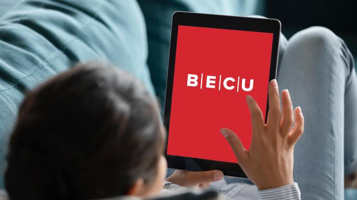 Student loans becu