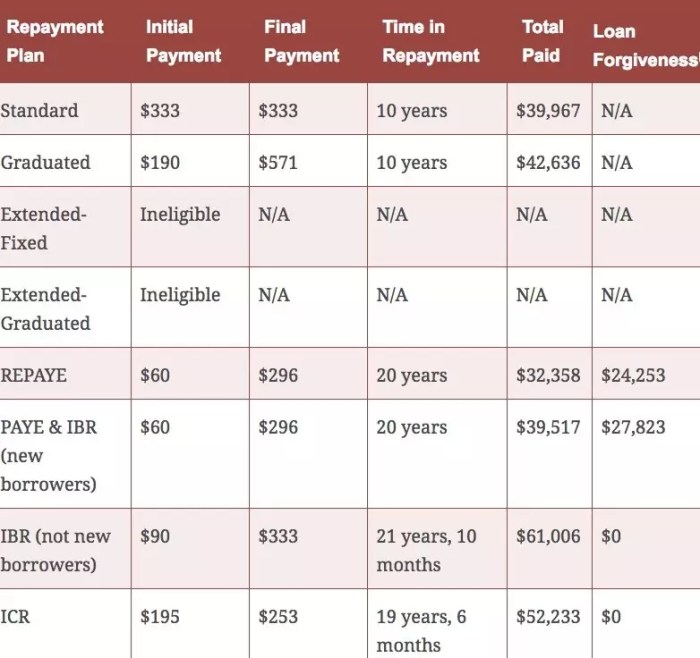 Repayment student loan options income based plan standard relief term debt us Repayment student loan options income based plan standard relief term debt us